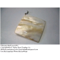 Shell 4016.JPG